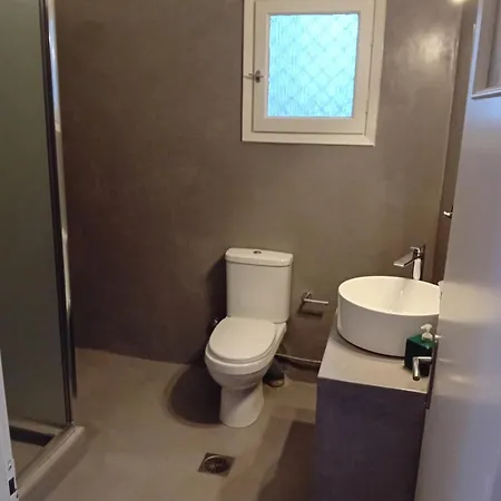 Apartment Lilian 2 Batsi (Andros)